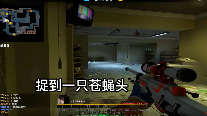 The girls in CS:GO are so cute!