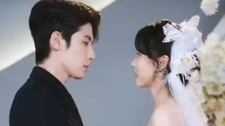 Terlahir kembali sekali, aku mulai mengejar suamiku seperti orang gila