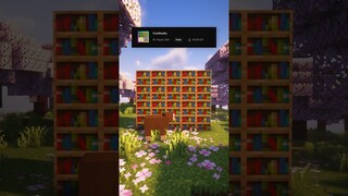 BEST Texture Pack/Mod: Continuity Minecraft #shorts