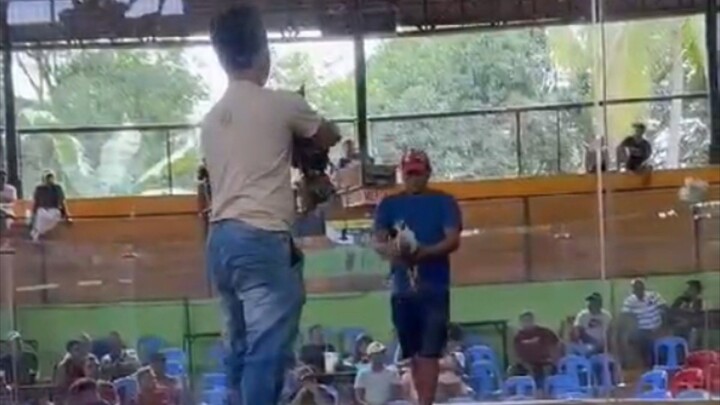 Black lightning stag win