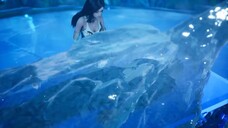 Martial soul continent eps 6 new