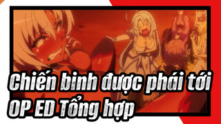 [Chiến binh được phái tới!] OP&ED Tổng hợp