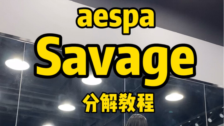 aespa’s New Song “Savage” Chorus Mirror Challenge Breakdown Tutorial