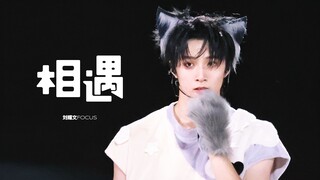 刘耀文 | 最伟大的狼耳 <相遇> 双日双机位混剪（240816-17楼非楼常州站）