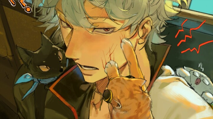 Cats are coming! !