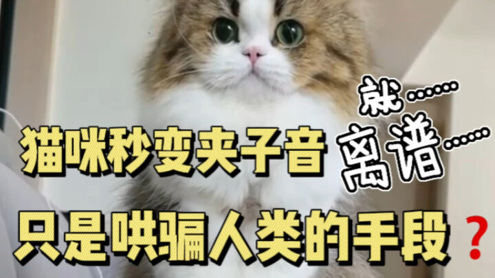 原来猫咪的夹子音，是为了哄骗人类啊～