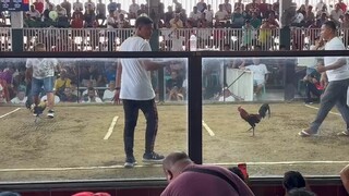 Sola Hatch Grey III🇵🇭