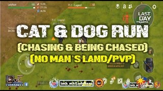 DAILY PVP EP 228 | CAT & DOG RUN - Last Day On Earth: Survival