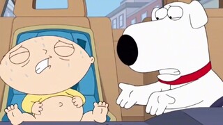 "Family Guy" Dumpling is pregnant 😂