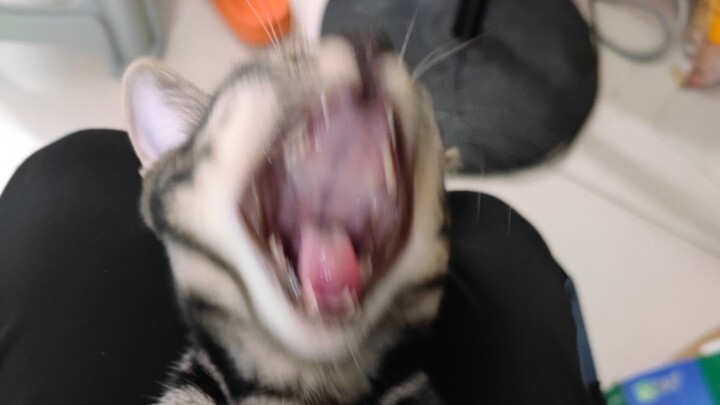 “กูถามว่าใครได้ปลาตัวนี้!!”