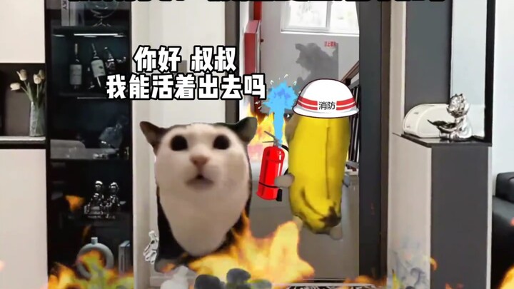 消防员:你要毁了我吗
