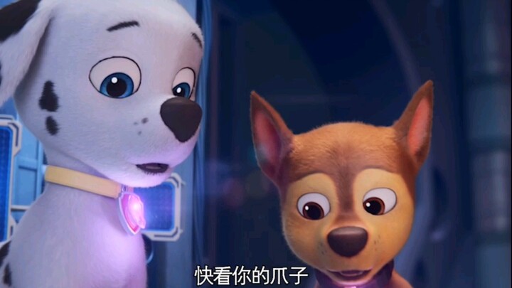Nếu có thể tôi muốn có siêu năng lực tàng hình, đừng hỏi tại sao! Linh hồn của những chú chó trong đ