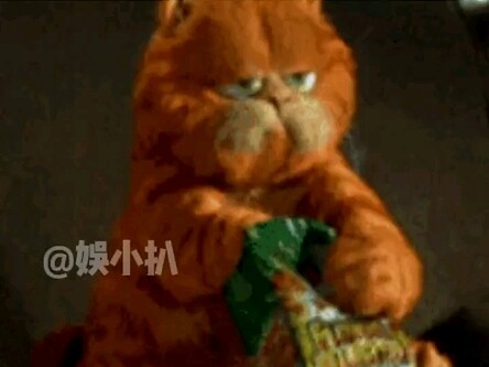 أيّ ذكاء لدى هذا الطفل؟