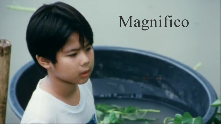 Magnifico