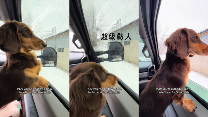 Cintai aku jangan pergi 🥺