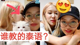 ROSÉ今晚直播说泰语！谁教的？都结婚了，肯定Lisa教的！blackpink五花肉