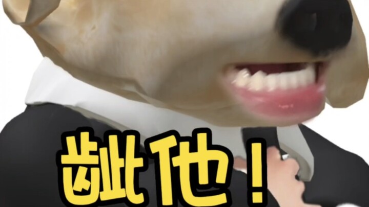 The Different Roles of Upper and Lower Teeth (Dog Teeth Edition)