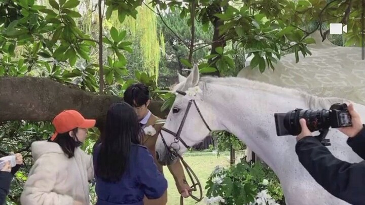 بيما يريد أن يأكل الزهرة على صدر شياو تشان، فمدّ شياو تشان يده وربت برفق على رأس الحصان... ما أروعه 