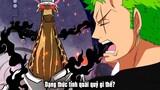 Phản ứng của Zoro trước dạng THỨC TỈNH của Kaku - One Piece