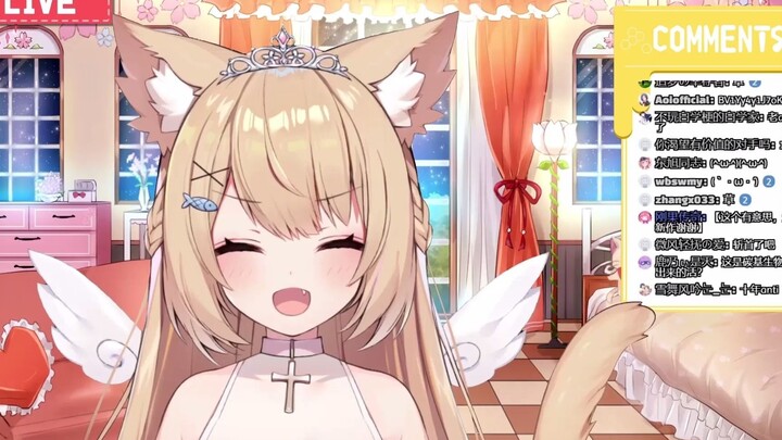 【Daging yang dimasak】Kucing menonton video anti (5)