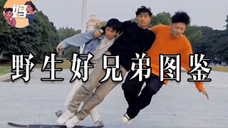 【野生人类图鉴】是兄弟就来坑我！