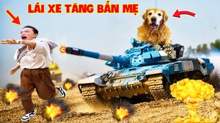 Thú Cưng Vlog | Chó Gâu Đần Golden Troll Mẹ #33 | Chó golden vui nhộn | Funny pets smart dog