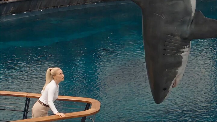 It Was Supposed to Be a Feeding Show… Then Everything Went Wrong!