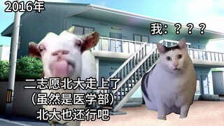 【猫meme】从北大医学部到皇艺，我的8年
