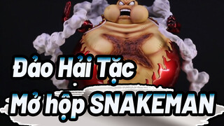 Đảo Hải Tặc | Mở hộp cho Luffy Gear 4 -Tank man- Tượng nhựa_3