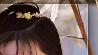 Why is Daiyu's small compartment better than Xue Baochai's big yard?