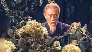 老翁爱花如命，竟引得仙女亲自为其护道！