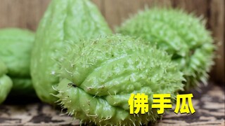 种一株年产百斤！佛手瓜如此高产，为啥在中国很少有人愿意吃？