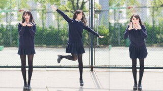 呆萌阿波连舞❤️竖屏~测不准的阿波连同学ed3