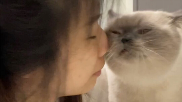 แมวที่บ้านของฉันติดนิสัยเก่าอีกแล้ว!