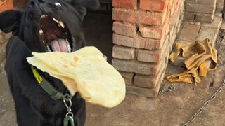 Chinese burger