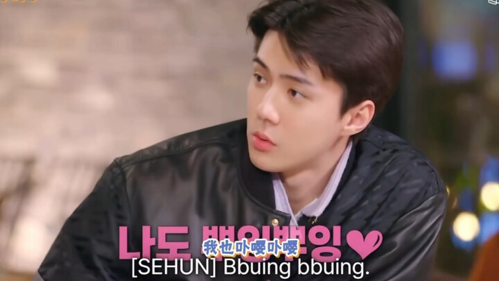 Sehun, you’re not even Kyungsoo! Pleading with Kim Jongin is just pointless hahaha!
