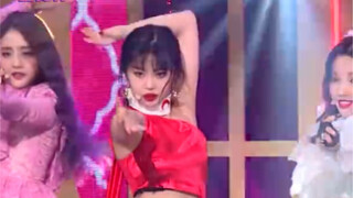 徐穗珍 ‘Senorita’直拍 THE SHOW 190312