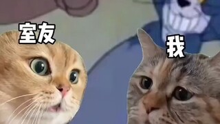 Alone in the dormitory 🐤