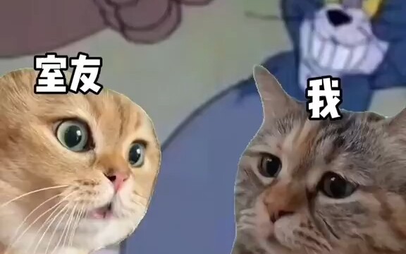 Alone in the dormitory 🐤