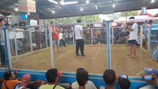 2nd fight loss