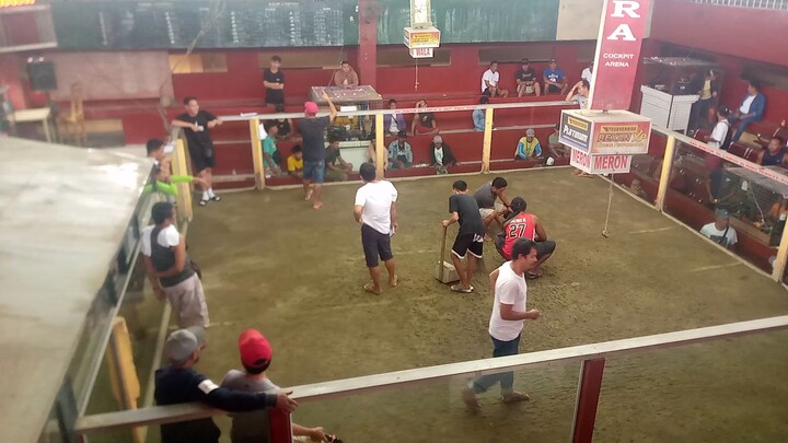 Boston flarry eye June Sevilla line