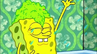 Itch bacteria