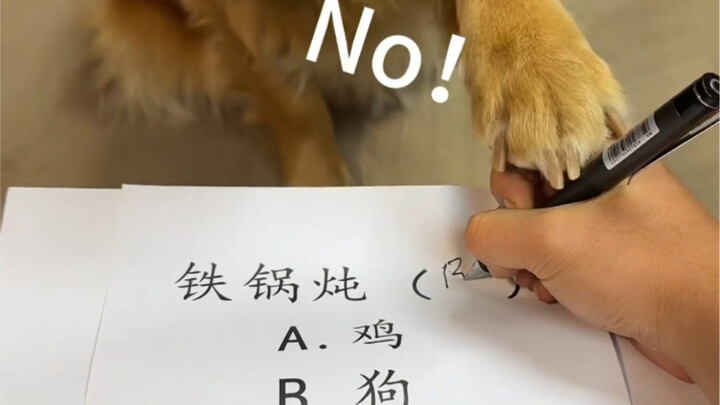 หมาหนัก 100 จิน แต่ใจแค่ 99 จิน