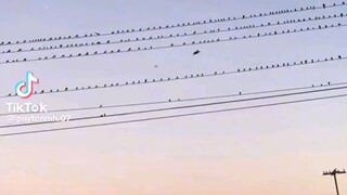 perfect timing 🤭