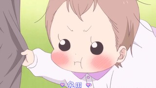 美鸟第一次开口说话：竟是萌萌的'兔田'！