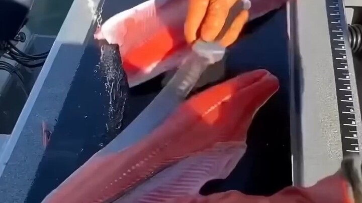 فيما يتعلق بذبح الأسماك