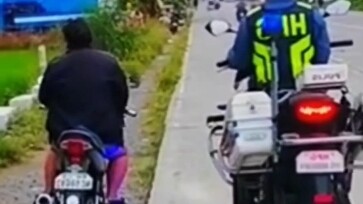 Selama aku tidak keluar ke jalan, dia tidak bisa apa-apa padaku!