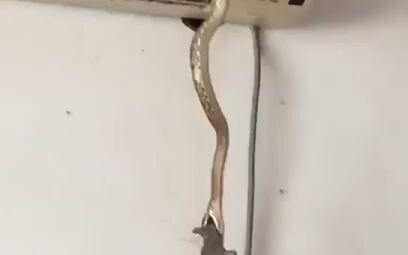 No wonder my air conditioner broke down recently—so that's why!!!!