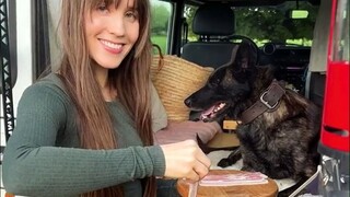 Anjing dengan patuh menunggu di samping tuannya yang sedang memasak, meski terlihat lapar, tapi kele