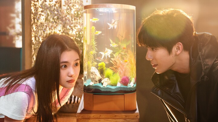 Be Passionately in Love EP23